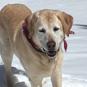 Meet your Posher, Mikaela